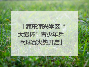 浦东浦兴学区“大爱杯”青少年乒乓球赛火热开启