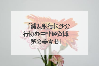 浦发银行长沙分行协办中非经贸博览会美食节
