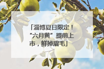 淄博夏日限定！“六月黄”提前上市，鲜掉眉毛