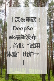 深夜重磅！DeepSeek最新发布，首批“试用体验”出炉→
