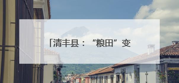 清丰县：“粮田”变“良田”村民笑开颜