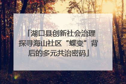 湖口县创新社会治理 探寻海山社区“蝶变”背后的多元共治密码