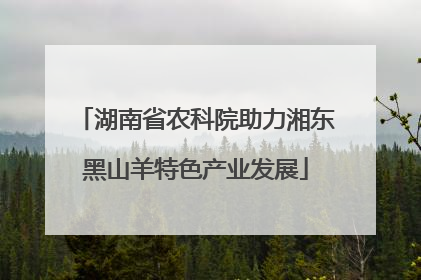 湖南省农科院助力湘东黑山羊特色产业发展