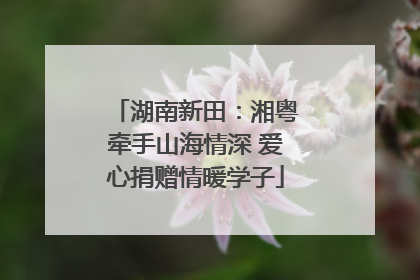 湖南新田：湘粤牵手山海情深 爱心捐赠情暖学子