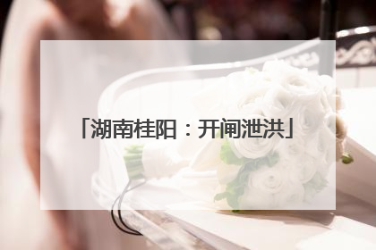 湖南桂阳：开闸泄洪
