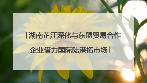 湖南芷江深化与东盟贸易合作 企业借力国际陆港拓市场