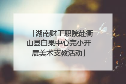 湖南财工职院赴衡山县白果中心完小开展美术支教活动