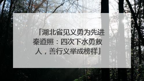 湖北省见义勇为先进秦遵照：四次下水勇救人，善行义举成榜样