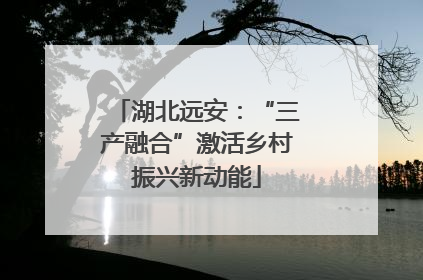 湖北远安：“三产融合”激活乡村振兴新动能