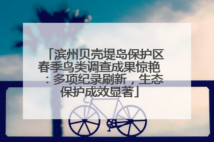 滨州贝壳堤岛保护区春季鸟类调查成果惊艳：多项纪录刷新，生态保护成效显著