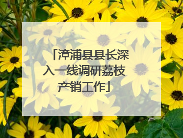 漳浦县县长深入一线调研荔枝产销工作