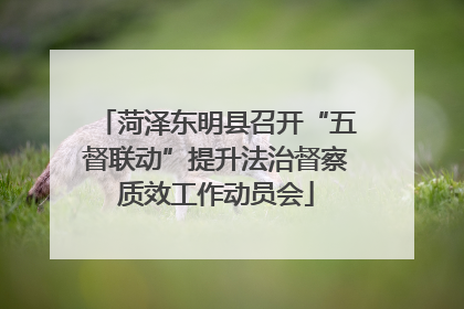 菏泽东明县召开“五督联动”提升法治督察质效工作动员会