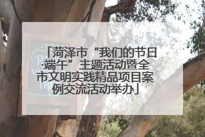 菏泽市“我们的节日·端午”主题活动暨全市文明实践精品项目案例交流活动举办