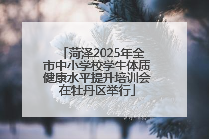 菏泽2025年全市中小学校学生体质健康水平提升培训会在牡丹区举行