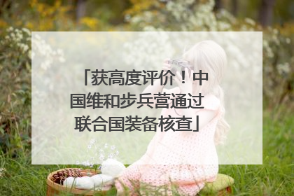 获高度评价！中国维和步兵营通过联合国装备核查