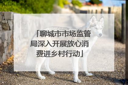 聊城市市场监管局深入开展放心消费进乡村行动