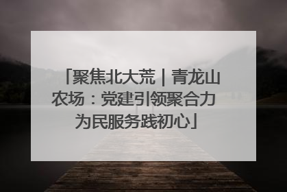 聚焦北大荒｜青龙山农场：党建引领聚合力 为民服务践初心