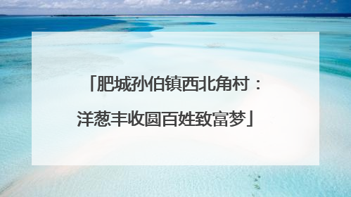 肥城孙伯镇西北角村：洋葱丰收圆百姓致富梦