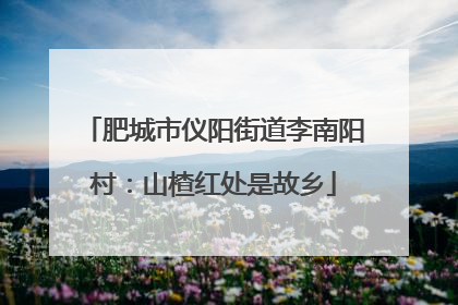 肥城市仪阳街道李南阳村：山楂红处是故乡