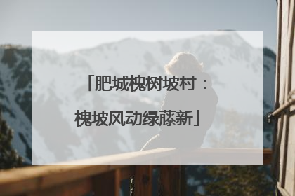 肥城槐树坡村：槐坡风动绿藤新