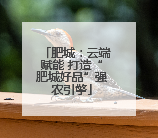 肥城：云端赋能 打造“肥城好品”强农引擎
