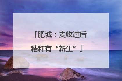 肥城：麦收过后秸秆有“新生”