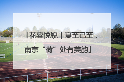 花容悦貌｜夏至已至，南京“荷”处有美韵
