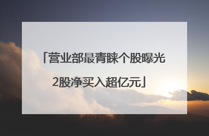 营业部最青睐个股曝光 2股净买入超亿元