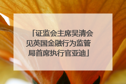 证监会主席吴清会见英国金融行为监管局首席执行官亚迪