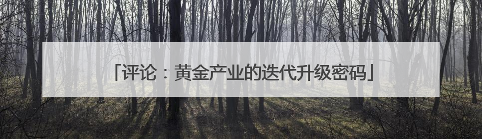 评论：黄金产业的迭代升级密码