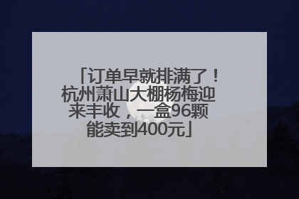 订单早就排满了！杭州萧山大棚杨梅迎来丰收，一盒96颗能卖到400元