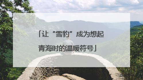 让“雪豹”成为想起青海时的温暖符号