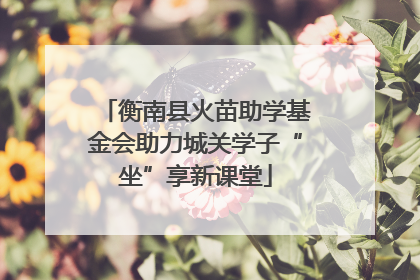 衡南县火苗助学基金会助力城关学子“坐”享新课堂
