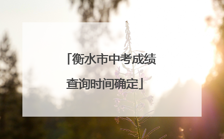 衡水市中考成绩查询时间确定