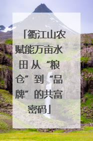 衢江山农赋能万亩水田 从“粮仓”到“品牌”的共富密码