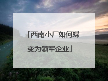 西南小厂如何蝶变为领军企业