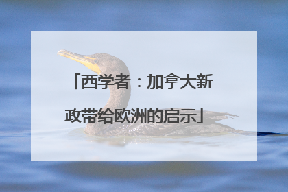西学者：加拿大新政带给欧洲的启示