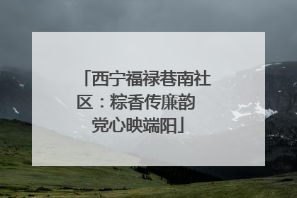西宁福禄巷南社区：粽香传廉韵 党心映端阳