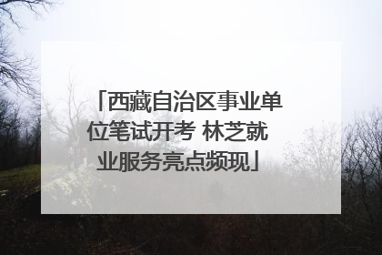 西藏自治区事业单位笔试开考 林芝就业服务亮点频现