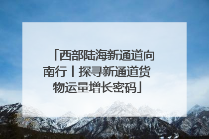 西部陆海新通道向南行丨探寻新通道货物运量增长密码