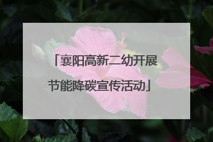襄阳高新二幼开展节能降碳宣传活动