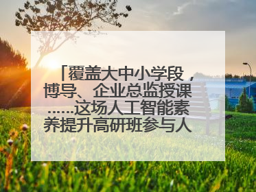 覆盖大中小学段，博导、企业总监授课……这场人工智能素养提升高研班参与人次达30万