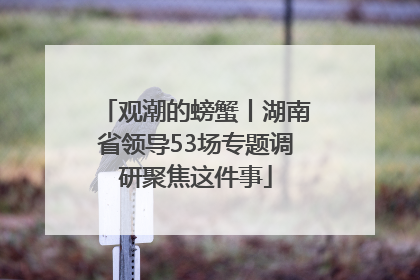 观潮的螃蟹丨湖南省领导53场专题调研聚焦这件事