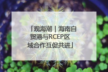 观海潮｜海南自贸港与RCEP区域合作互促共进