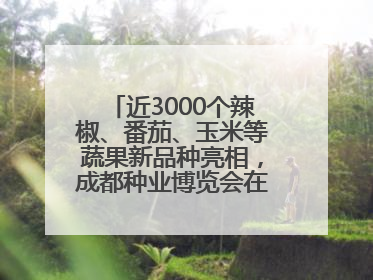 近3000个辣椒、番茄、玉米等蔬果新品种亮相，成都种业博览会在蓉开幕