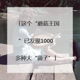 这个“蘑菇王国”已发现1000多种大“菌子”