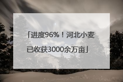 进度96%！河北小麦已收获3000余万亩