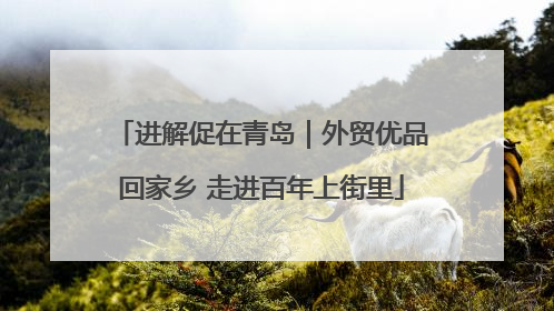进解促在青岛｜外贸优品回家乡 走进百年上街里