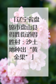 辽宁省盘锦市盘山县得胜街道得胜村：沙土地种出“黄金果”