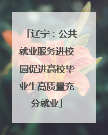 辽宁：公共就业服务进校园促进高校毕业生高质量充分就业